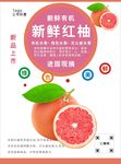 红柚海报