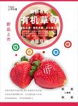 草莓海报
