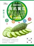 黄瓜海报