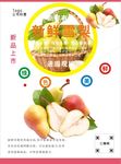 梨海报