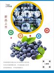 蓝莓海报