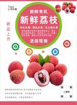 荔枝海报