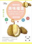 榴莲海报