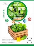 黄瓜海报