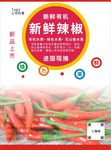 辣椒海报