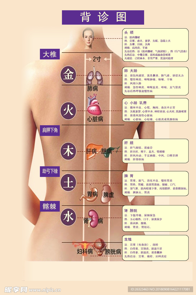 广告宣传活动物料