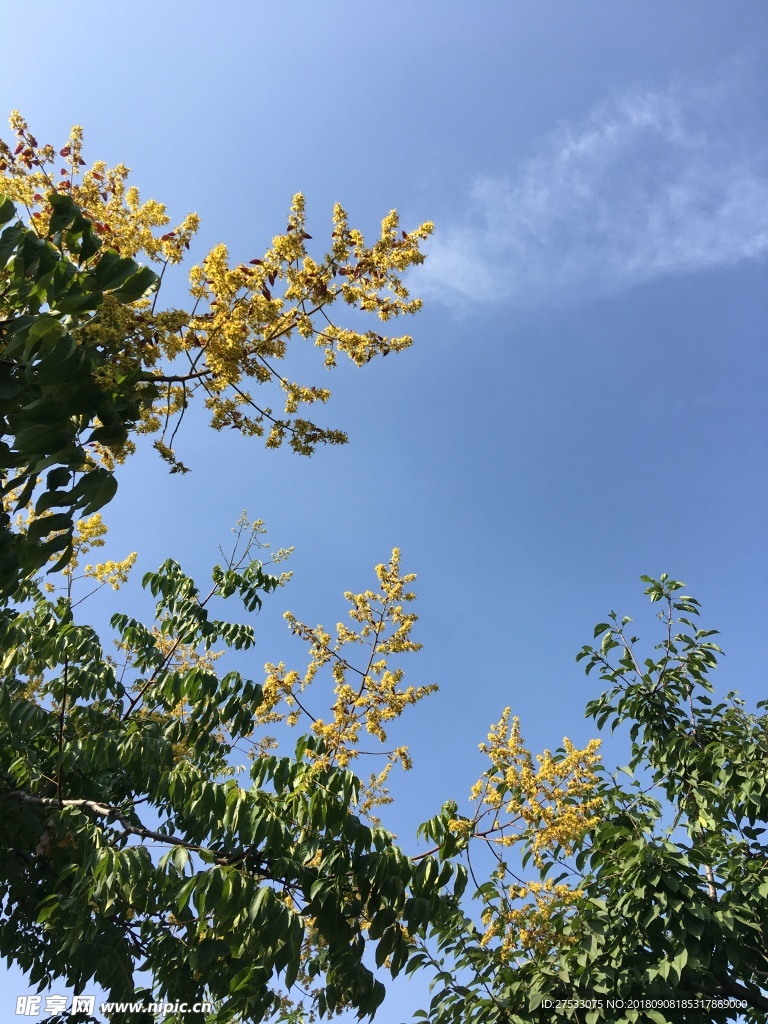 天空