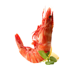 虾