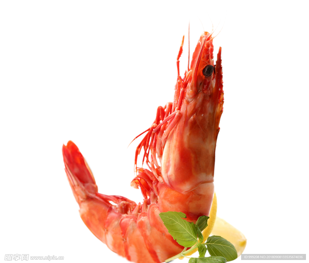 虾