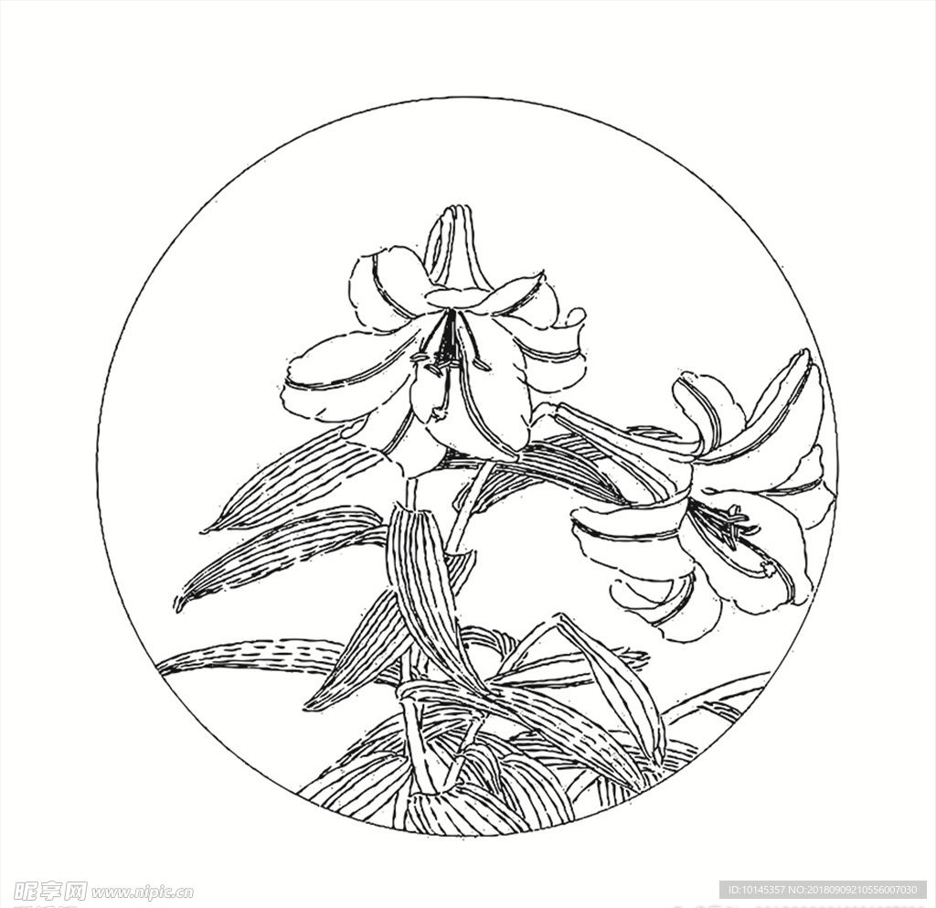 花卉