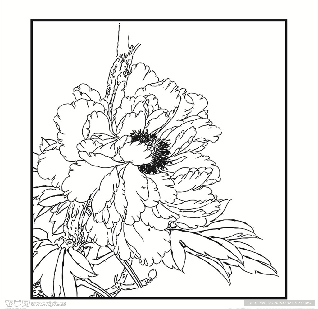 花卉