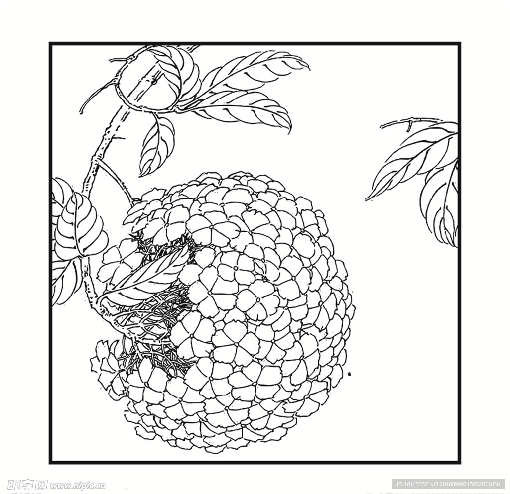 花卉