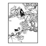 鸟与树