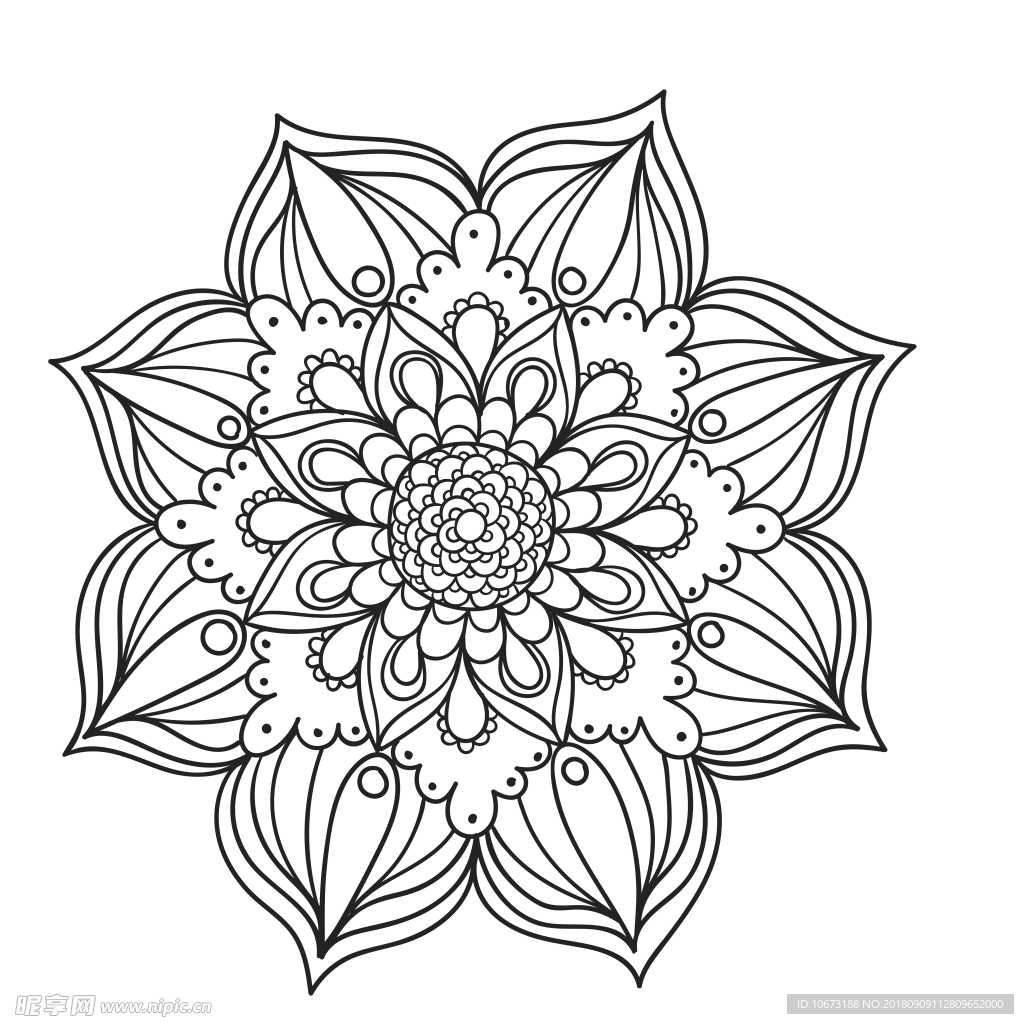 透明底花纹