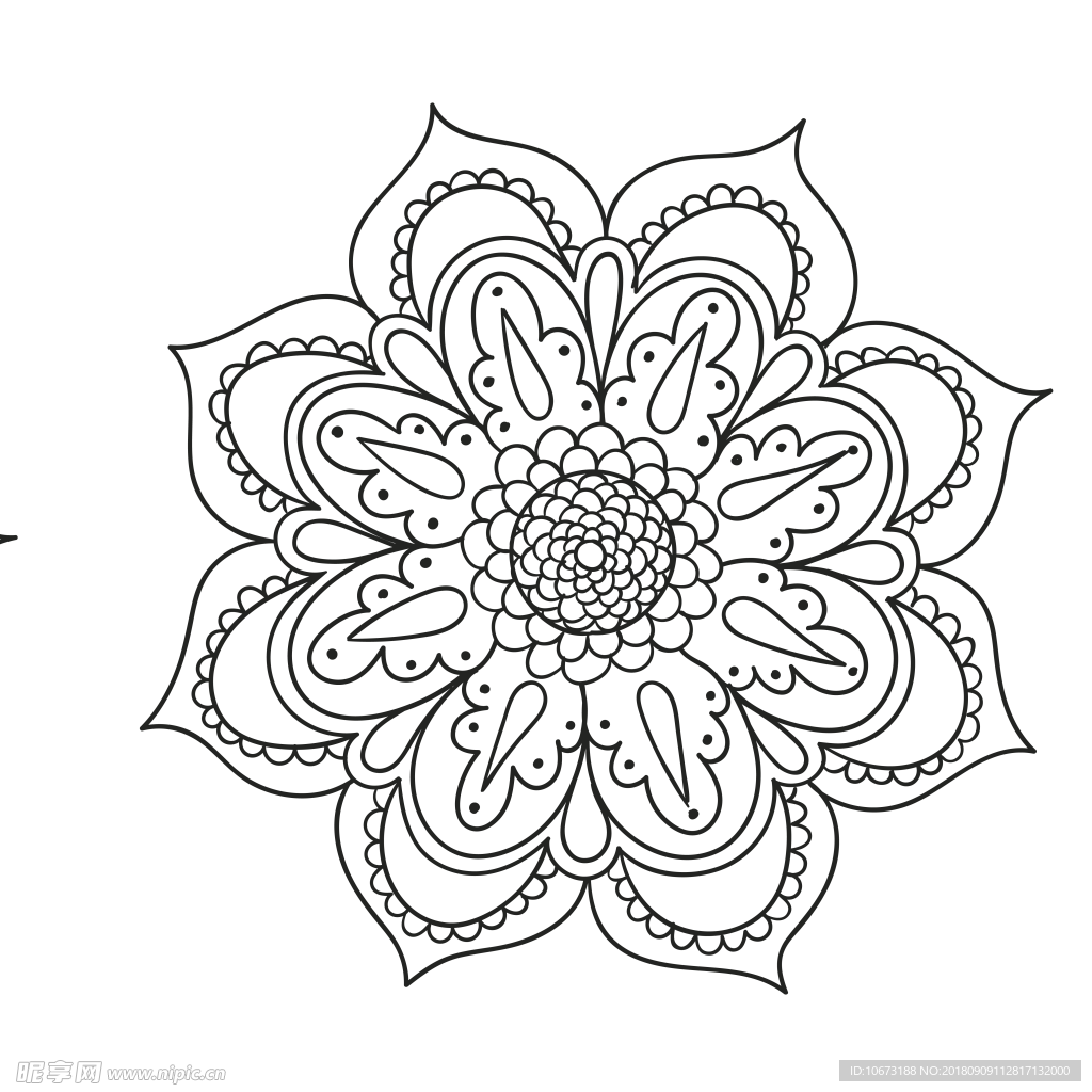透明底花纹