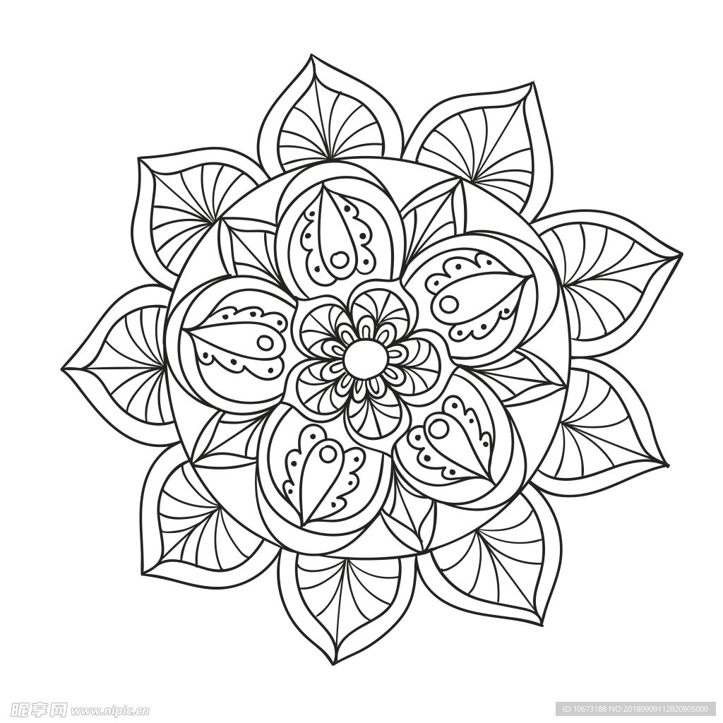 透明底花纹