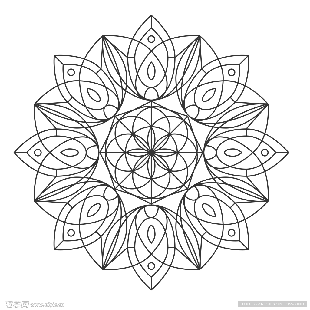 透明底花纹