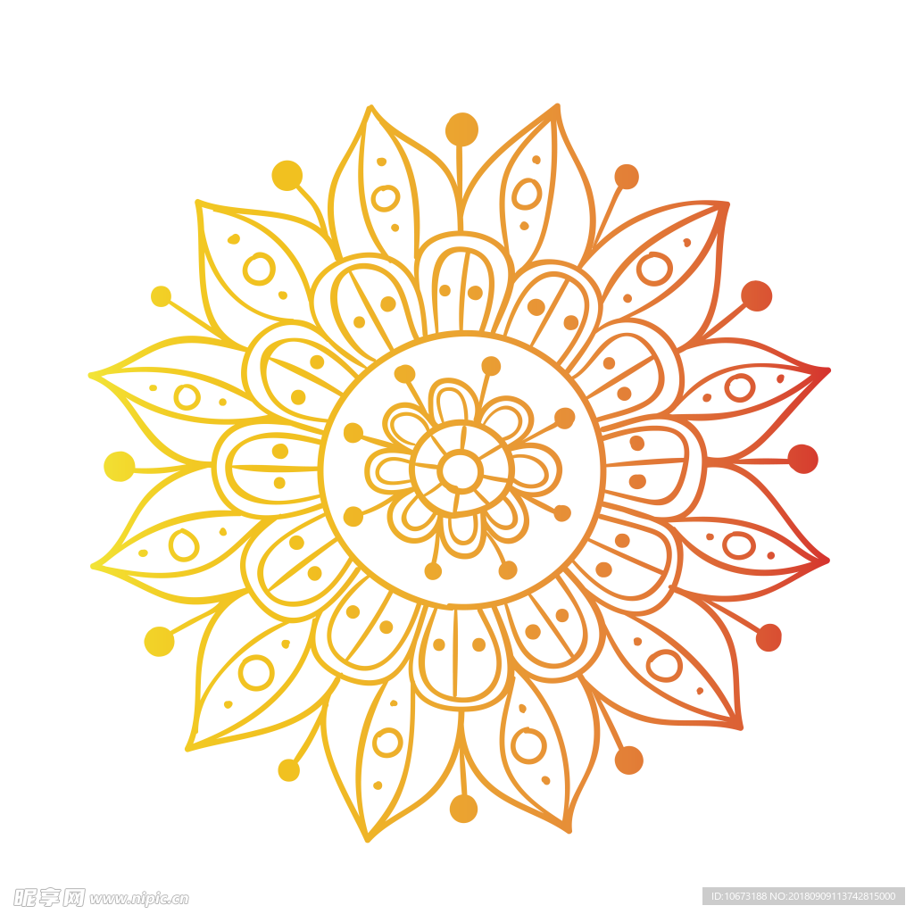 透明底花纹