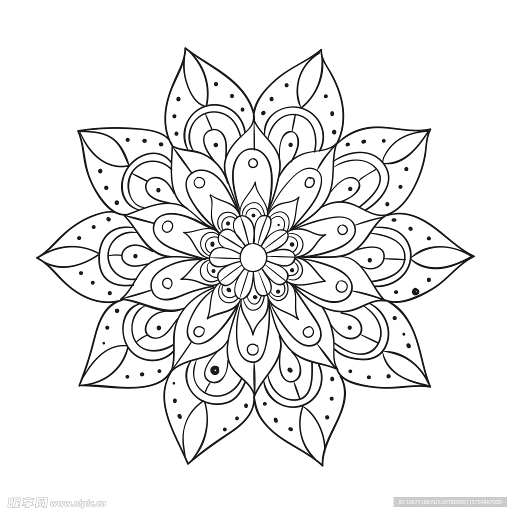 透明底花纹