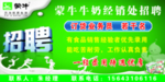 蒙牛招聘