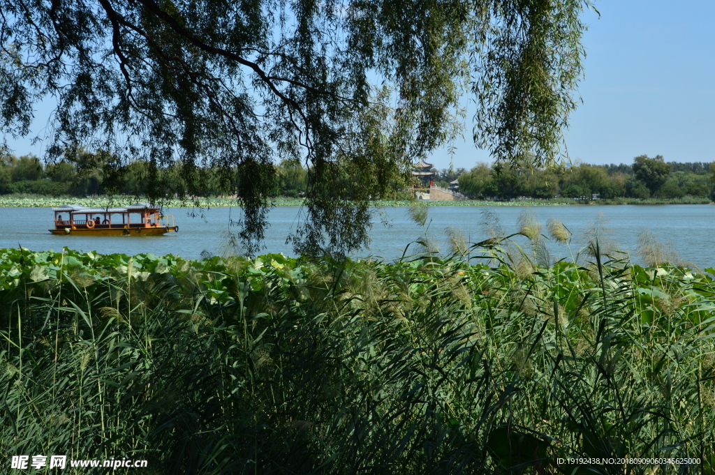 颐和园风景