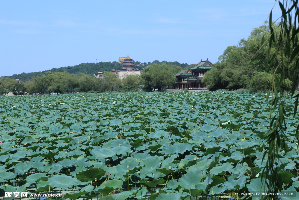 颐和园风景