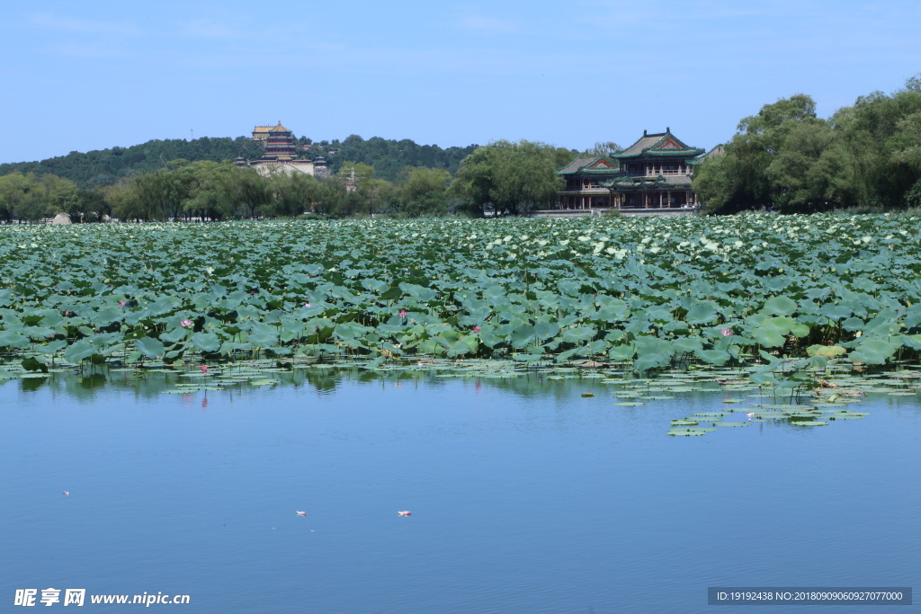 颐和园风景