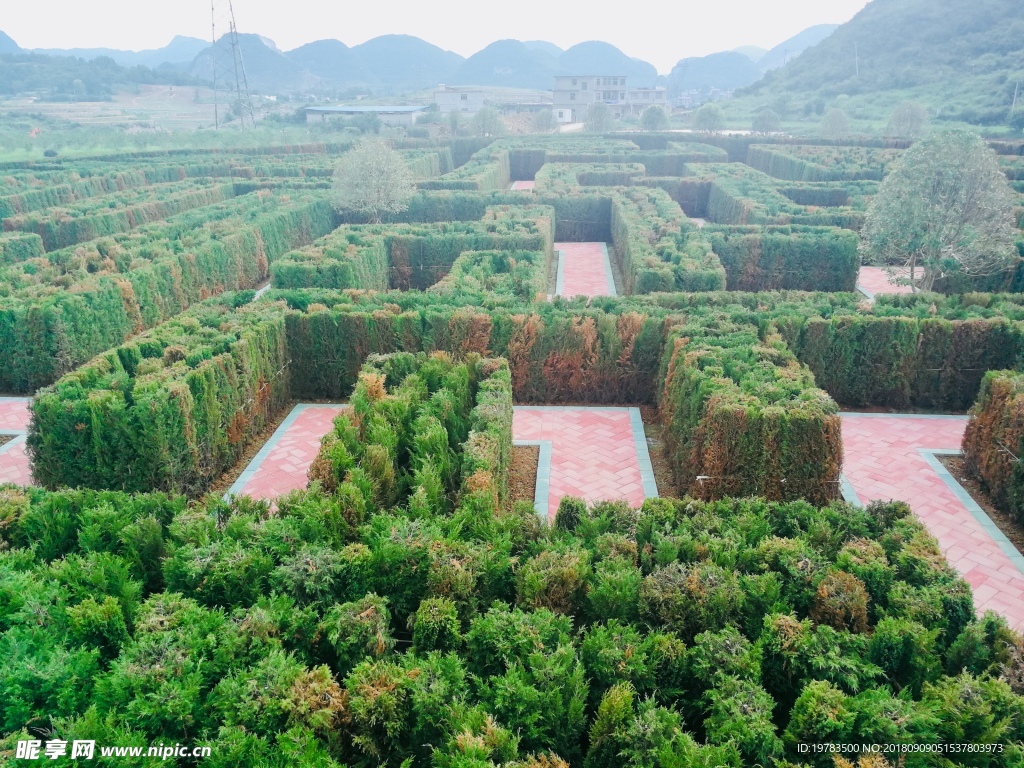 东方植物迷宫