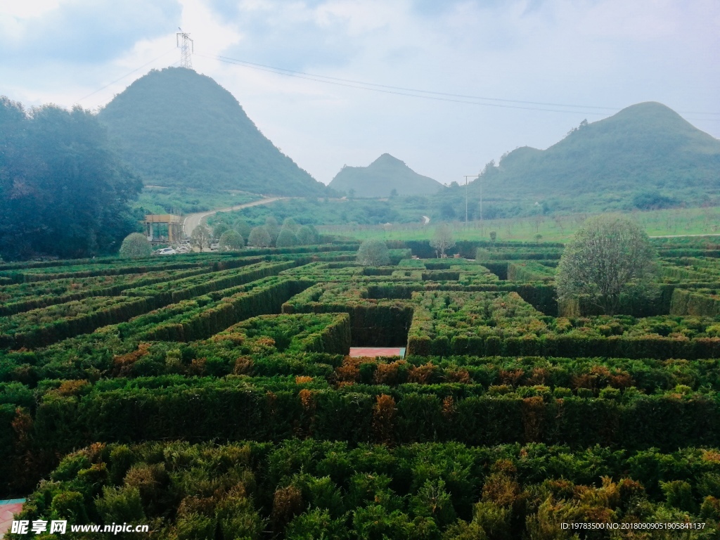 东方植物迷宫