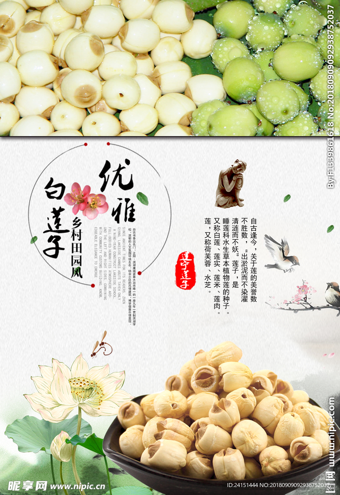 莲子