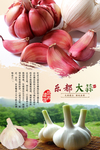 乐都大蒜