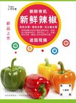 辣椒海报