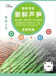 芦笋海报
