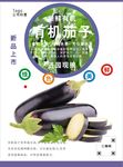 茄子海报