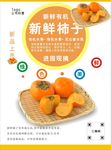 柿子海报