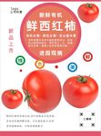 西红柿海报