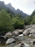 山林