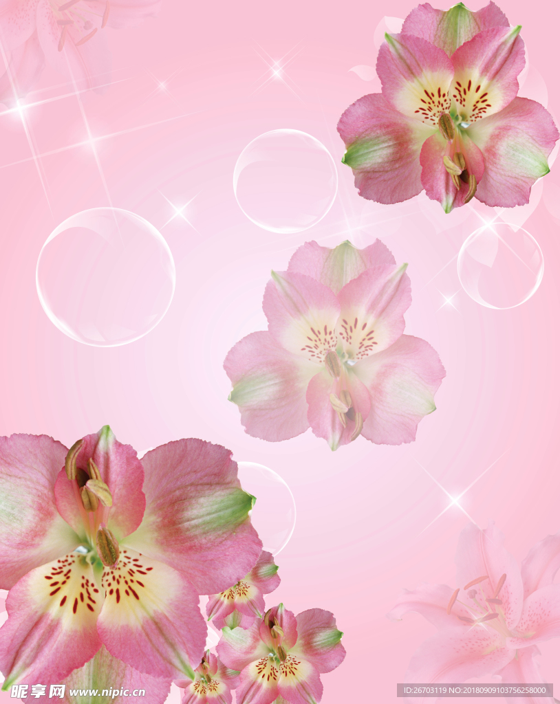 花朵