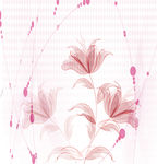 花纹