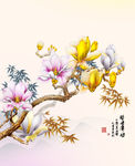 玉兰