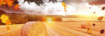 秋季banner