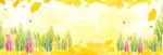 秋季banner