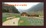 风景