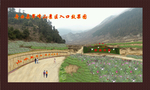 风景