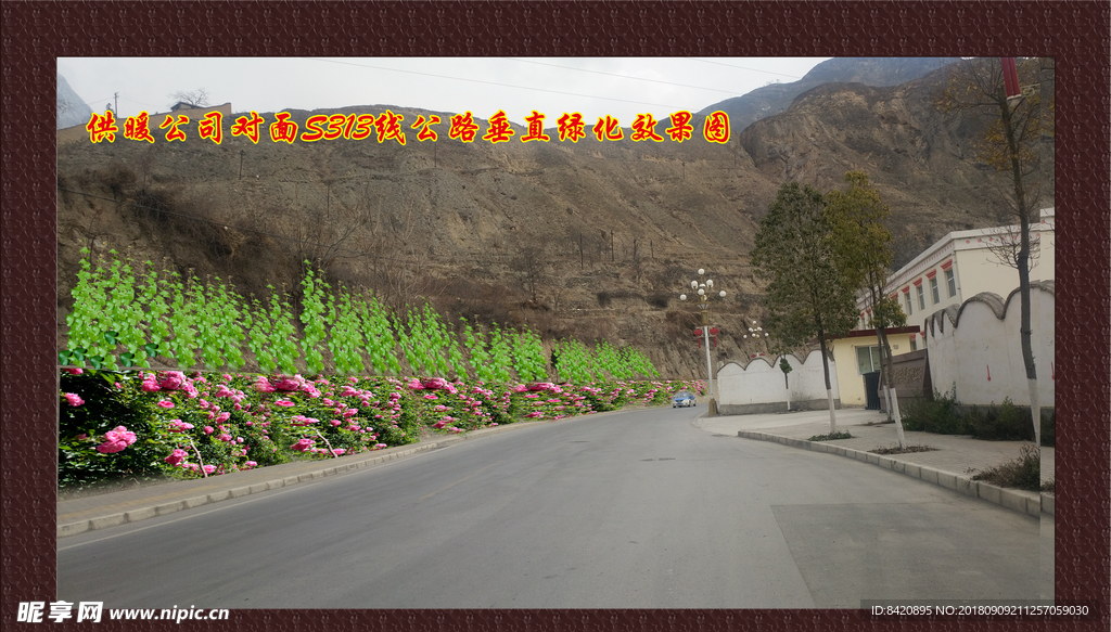 风景