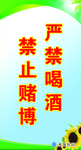禁止吸烟宣传单