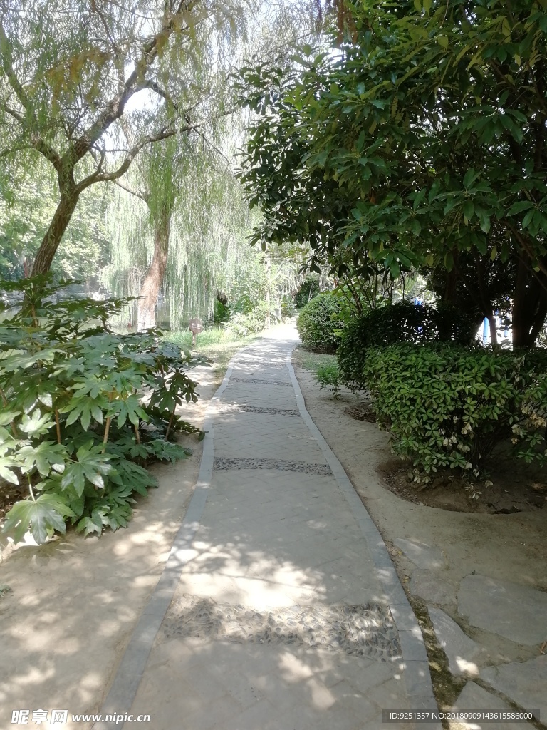 小路 公园一角