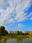 公园风景
