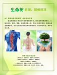 脊椎养护