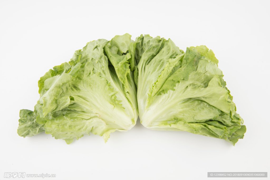 生菜